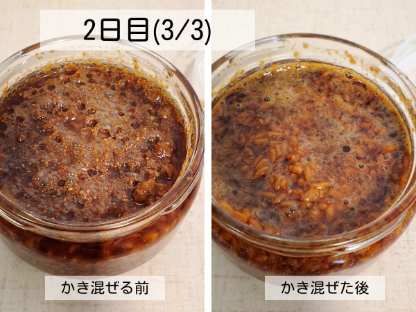 醤油麹、常温発酵2日目