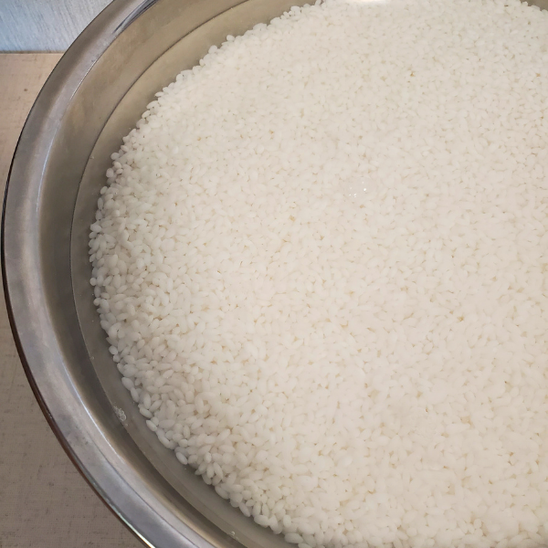 麹づくりの浸漬で24時間経過したお米の様子